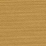 Corn 2141
