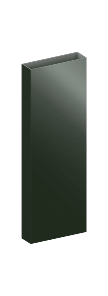 RAL 6009