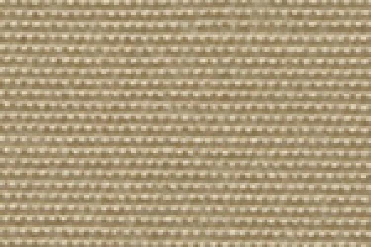 Beige 2038