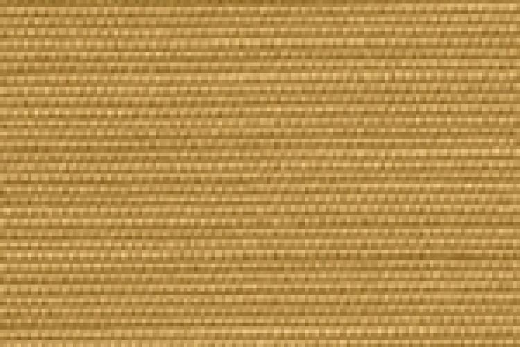 Corn 2141