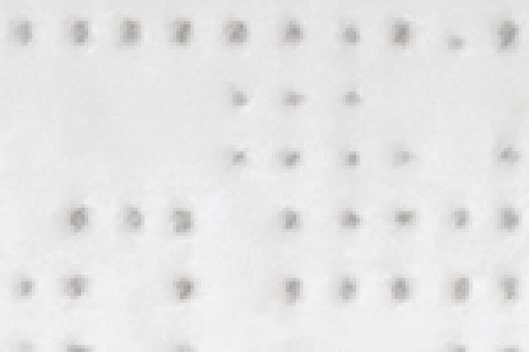 White 96-8102