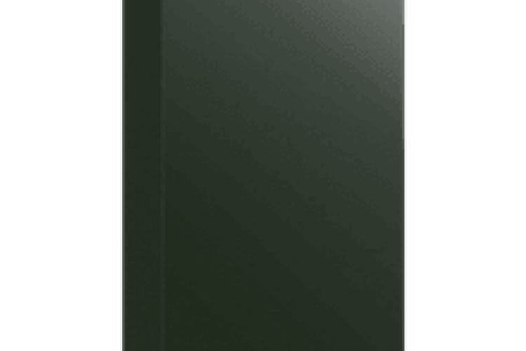 RAL 6009