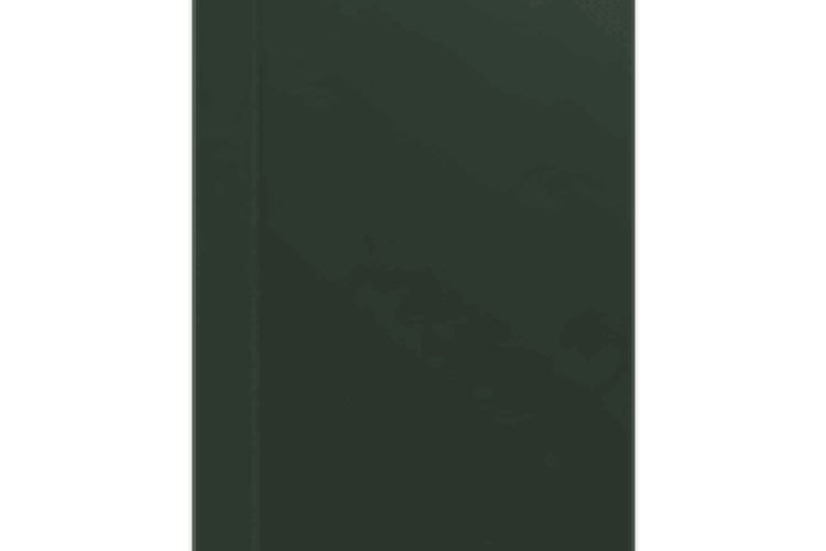 RAL 6009 MATE