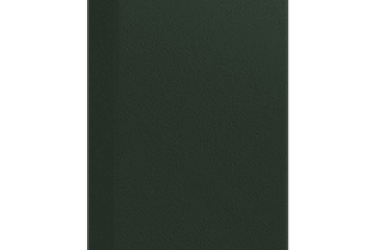 RAL 6009 TEXTURADO