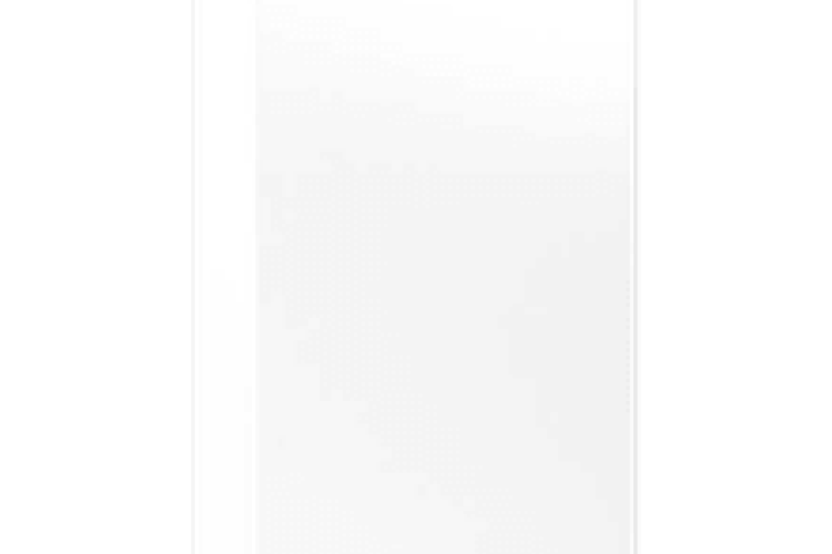 RAL 9016